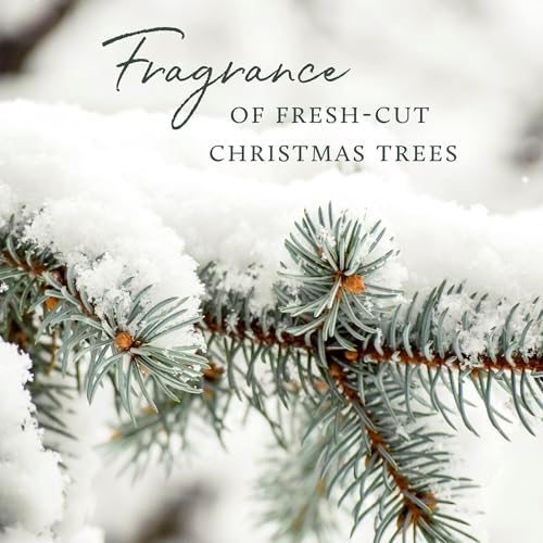 Thymes Frasier Fir Pura Diffuser Refills Pack of 2
