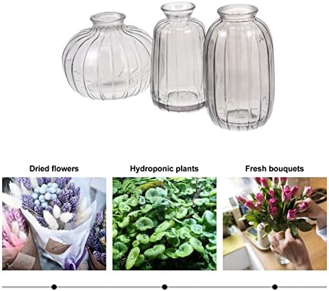 Amosfun 3pcs Creative Flower Vase for Home Decor