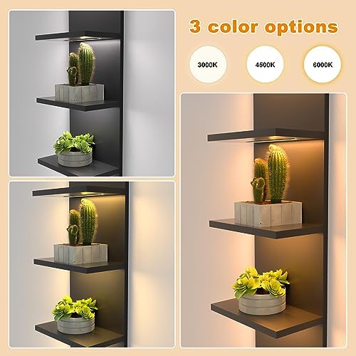 5 Tier Wall Shelves with LED Light Floating Storage Design Modern Home Decor Organizer Black