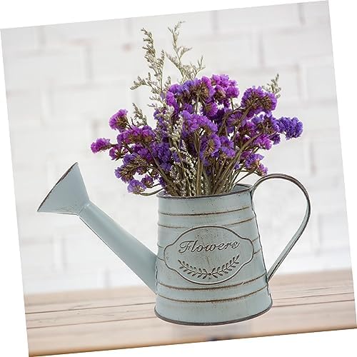 Balacoo 2pcs Vintage Rustic Iron Flower Vase Decor