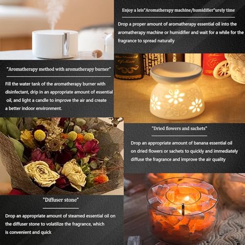 Premium Scented Diffuser Oil - 60ml 2 Fl Oz for Home Hotel and Car