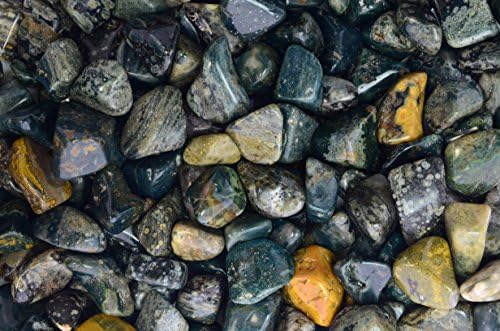Fantasia Tumbled Sea Jasper Stones 12 lb Small 075-125 Inch