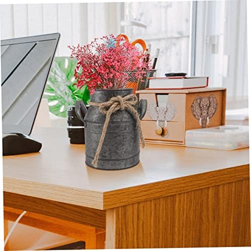 Ciieeo Iron Bucket Flower Pot Vintage Decor