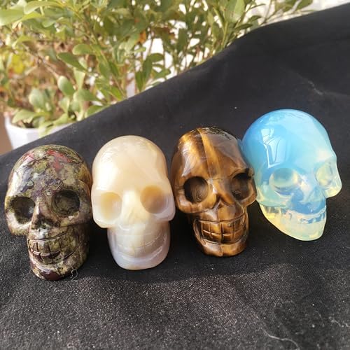 Natural Dragon Blood Quartz Crystals Healing Stones Skulls Carvings 2Inch Love Feng Shui
