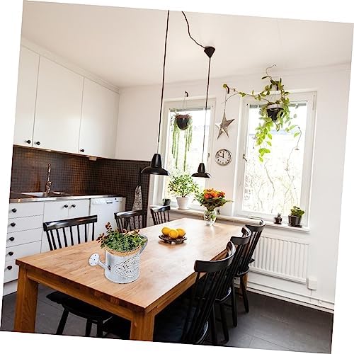 BESPORTBLE 2pcs Antique Iron Dried Flower Vase Vintage Decorative Bucket for Home