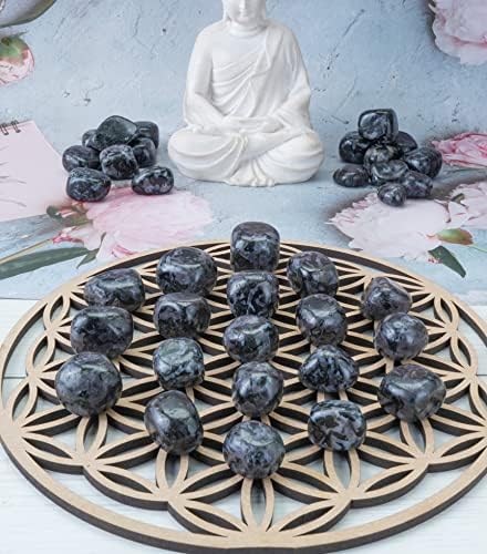 ZAICUS Natural Tumbled Stones Crystals Bulk Set