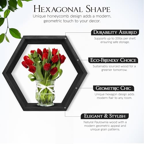 Hexagon Floating Shelves Set of 6 Carbonized Black