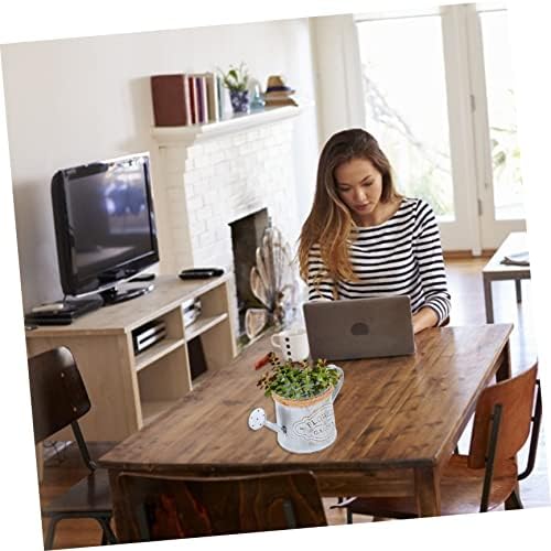 SUPVOX 2pcs Antique Iron Flowerpot Rope Dried Flower Decor Vintage Style Vase