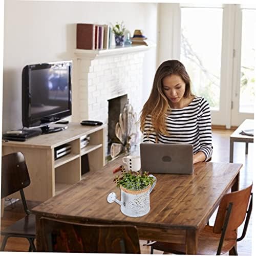 BESPORTBLE 2pcs Antique Iron Dried Flower Vase Vintage Decorative Bucket for Home