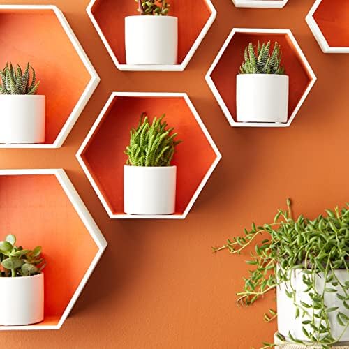 Bright Creations 9 Hexagon Floating Wall Shelves Set