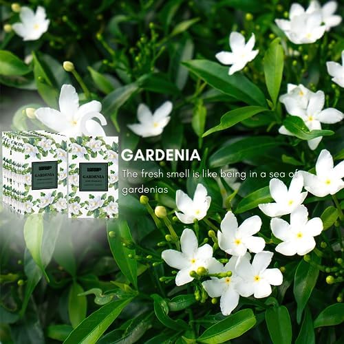 MYARO 12 Pack Lavender Gardenia Scented Sachets for Drawer Closet