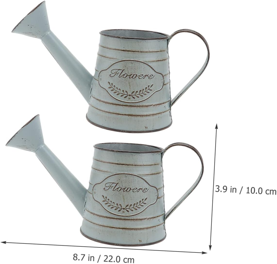 Balacoo 2pcs Vintage Rustic Iron Flower Vase Decor