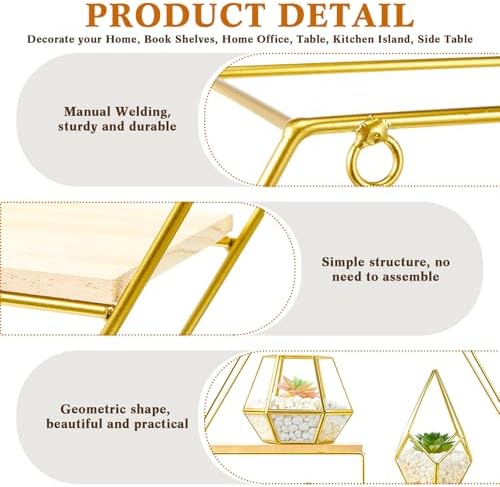 Hexagonal Metal Wall Shelves with 3 Glass Planter Sets