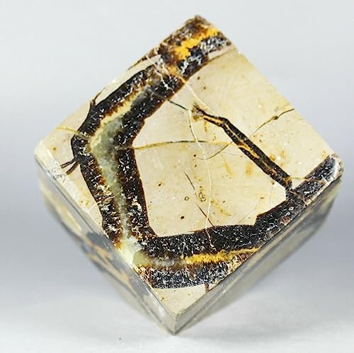 Polished Dragon Septarian Cube Reiki Stone 330G Display