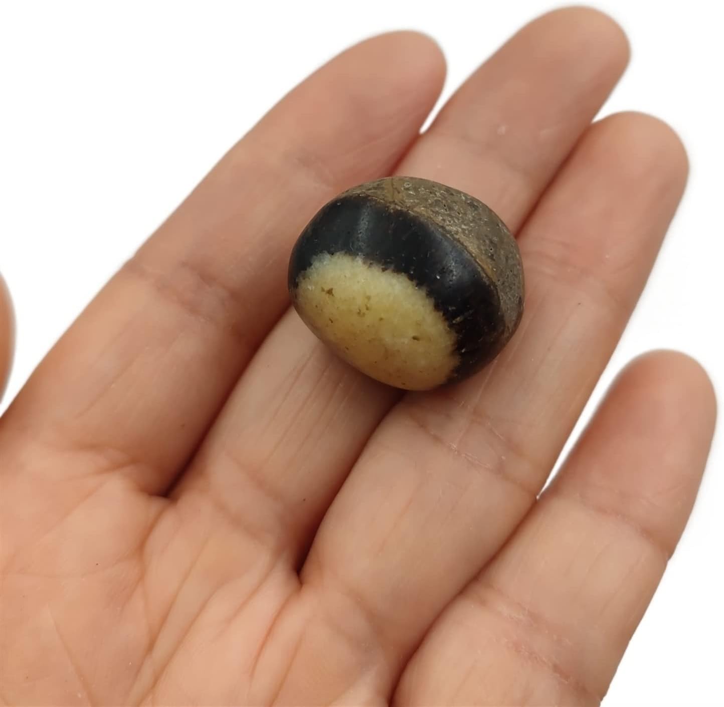 AMHIL Natural Dragon Septarian Tumbled Stones Crystal Polished Gemstone Specimen Home Decoration Gift