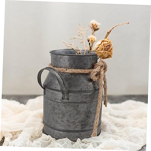 Ciieeo Iron Bucket Flower Pot Vintage Decor