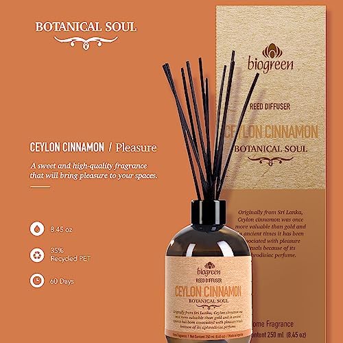 Ceylon Cinnamon Reed Diffuser Set