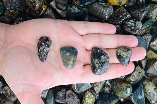 Fantasia Tumbled Sea Jasper Stones 12 lb Small 075-125 Inch