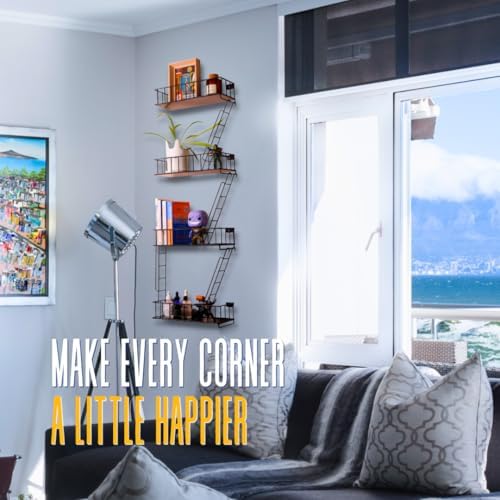 4 Tier Fire Escape Wall Shelf - Black Metal Decor Ladder Shelf