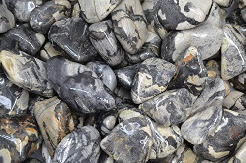 Fantasia Silver Leaf Jasper Stones 18 Lbs - 15 to 225 Inches