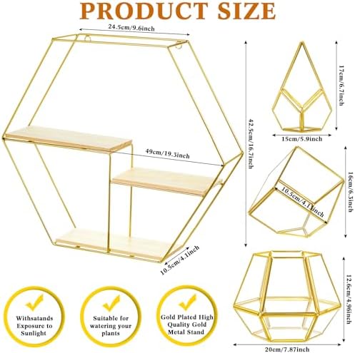Hexagonal Metal Wall Shelves with 3 Glass Planter Sets