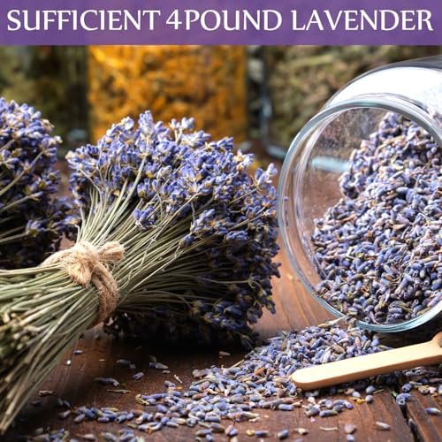 Treela Dried Lavender Buds Fragrant for DIY Crafts and Home Sachets 4 lb