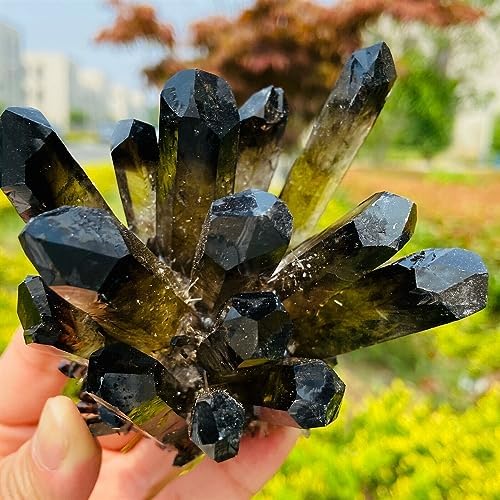 KatLin Clear Tea Crystal Healing Ornaments Set