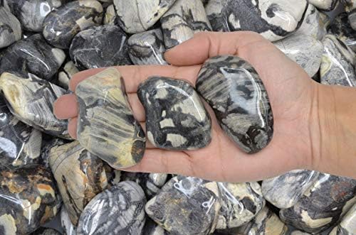Fantasia Silver Leaf Jasper Stones 18 Lbs - 15 to 225 Inches