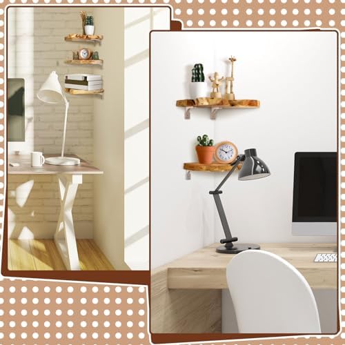 Pinkunn 3 Pcs Floating Shelves for Wall Mounting
