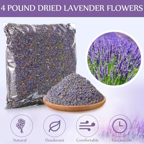 Treela Dried Lavender Buds Fragrant for DIY Crafts and Home Sachets 4 lb