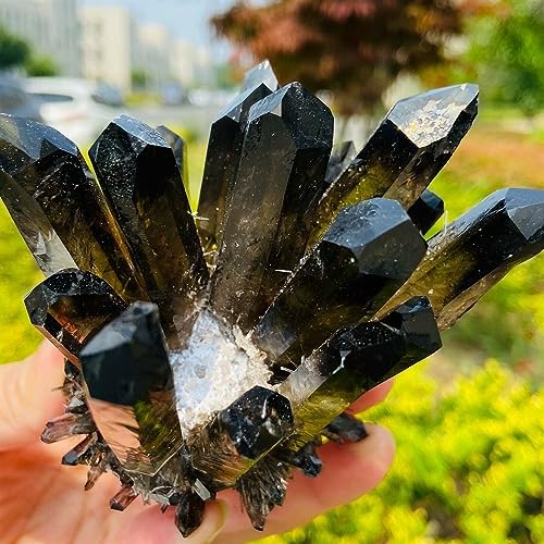 KatLin Clear Tea Crystal Healing Ornaments Set