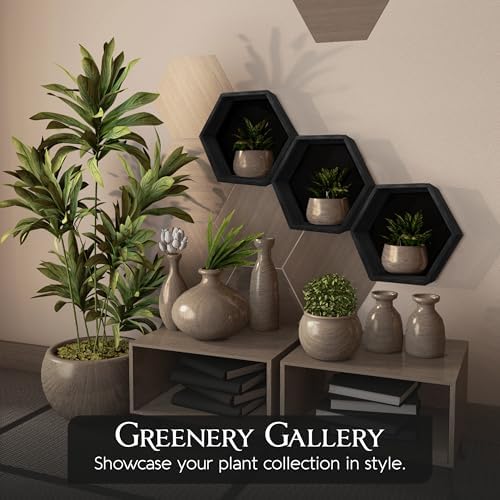Hexagon Floating Shelves Set of 6 Carbonized Black