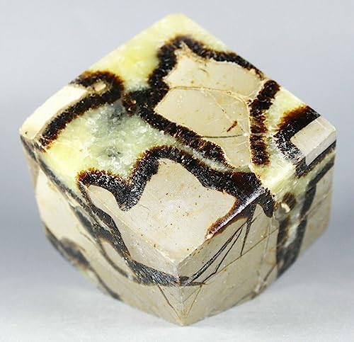 Polished Dragon Septarian Cube Reiki Stone Display