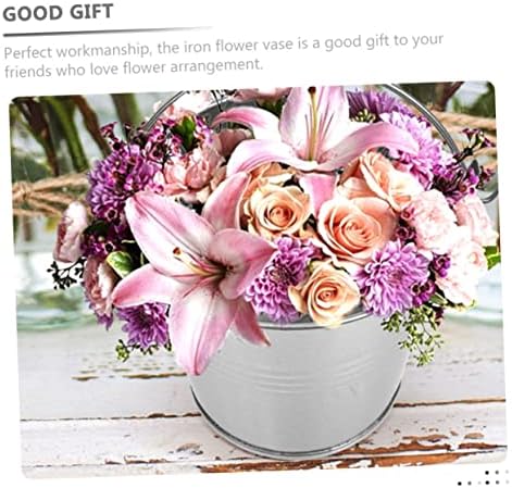 POPETPOP 5pcs Vintage Iron Flower Bucket Planter with Rustic Tin Handles for Home Decor