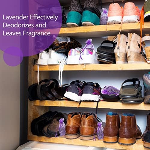 Reginary 200 Pack Lavender Sachets for Home and Closet Use