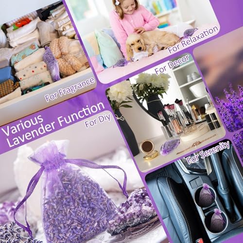 Reginary 200 Pack Lavender Sachets for Home and Closet Use
