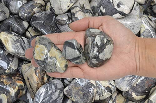 Fantasia Silver Leaf Jasper Stones 18 Lbs - 15 to 225 Inches