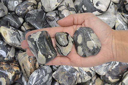 Fantasia Silver Leaf Jasper Stones 18 Lbs - 15 to 225 Inches