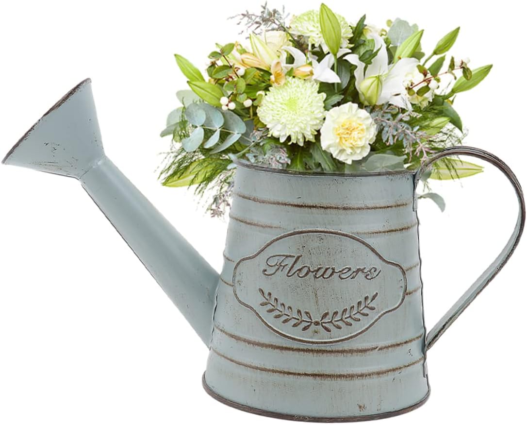 Balacoo 2pcs Vintage Rustic Iron Flower Vase Decor