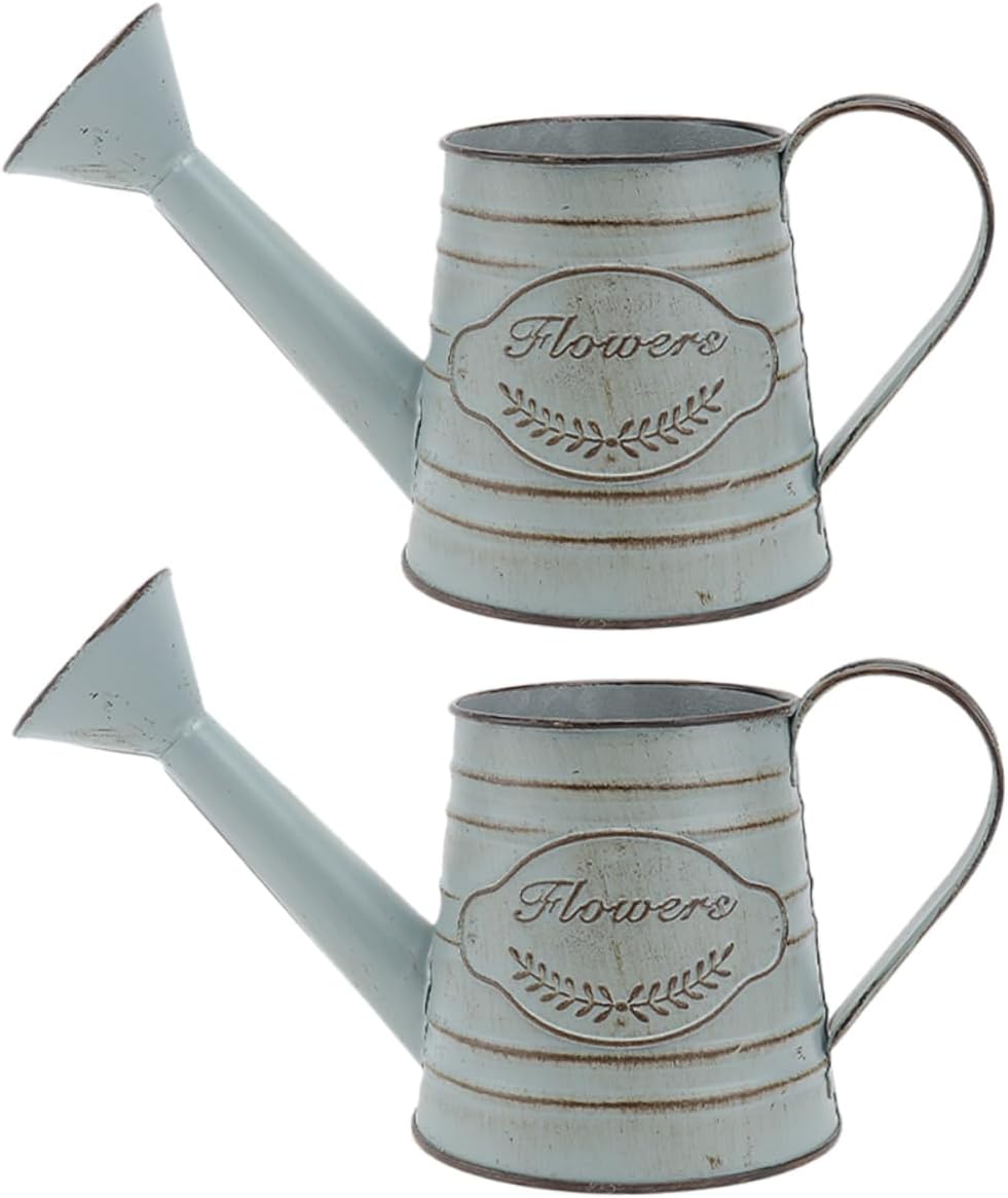 Balacoo 2pcs Vintage Rustic Iron Flower Vase Decor