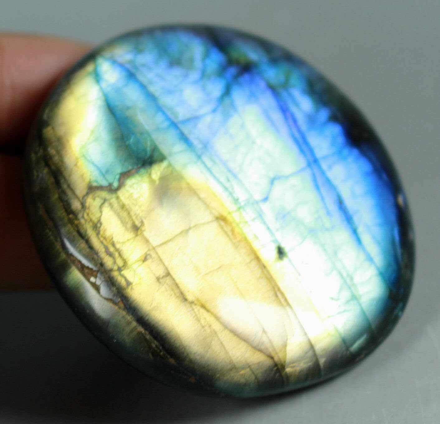 72G Royal Blue Yellow Flash Labradorite Spectrolite Form Stones