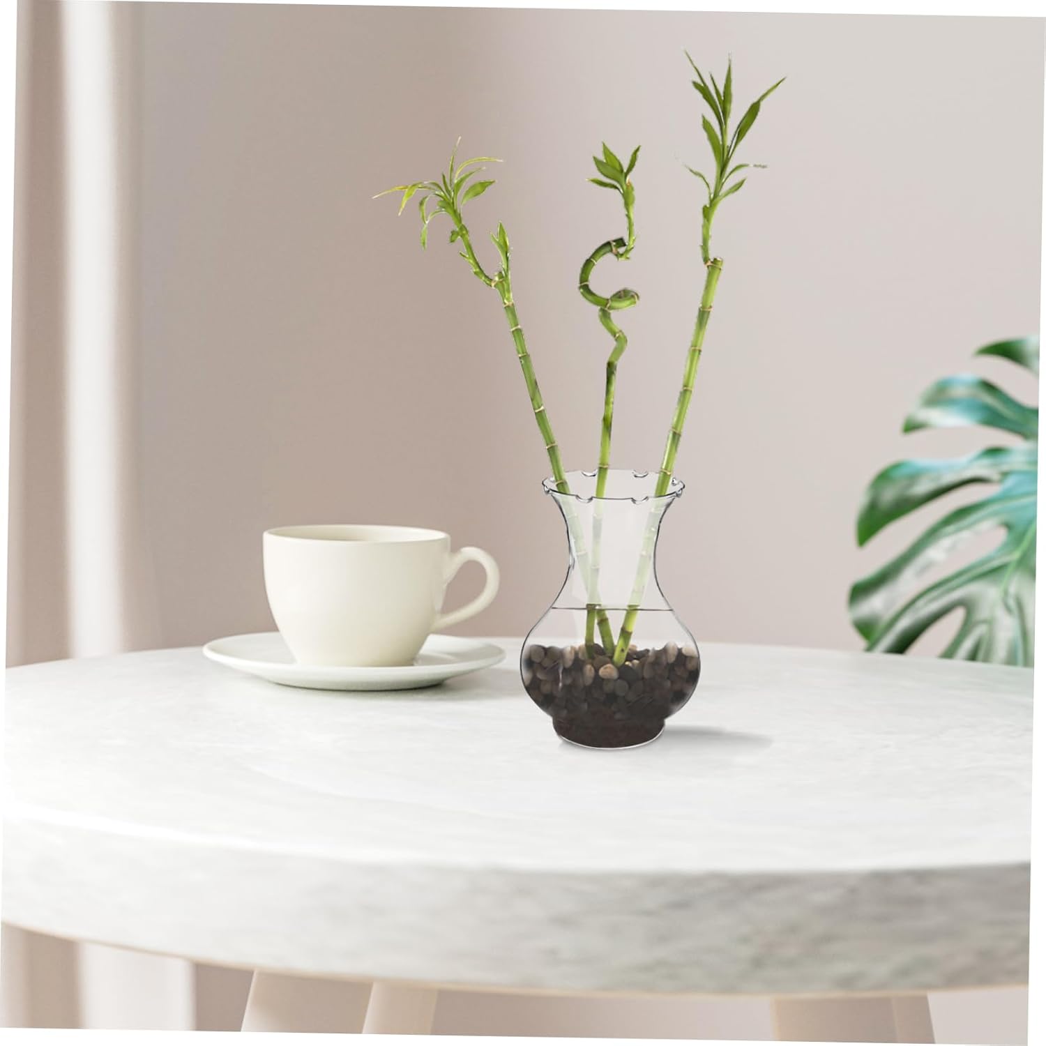 4pcs Clear Plastic Hydroponic Plant Vase for Home Decor