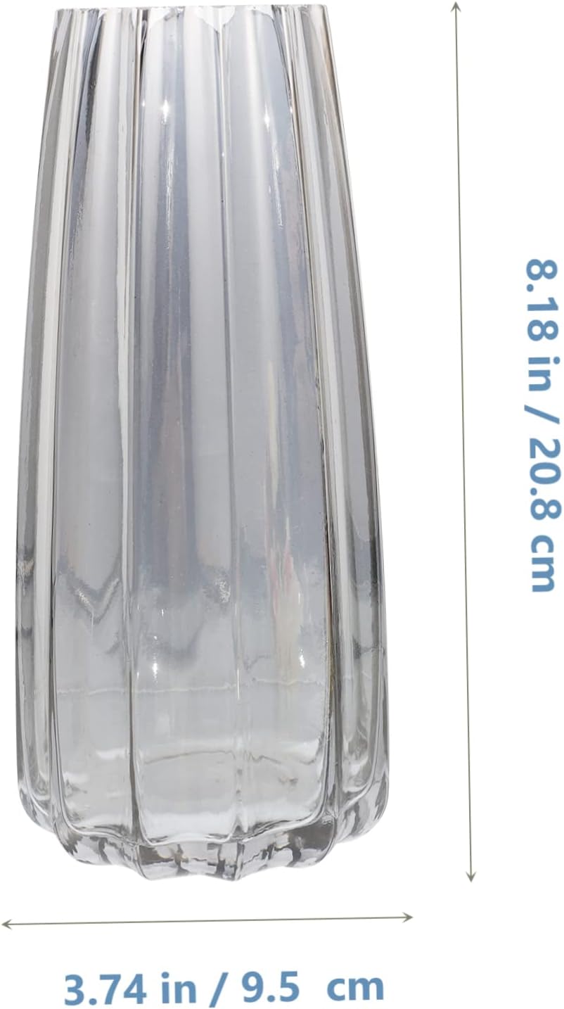 Modern Glass Vase for Home and Office Decor