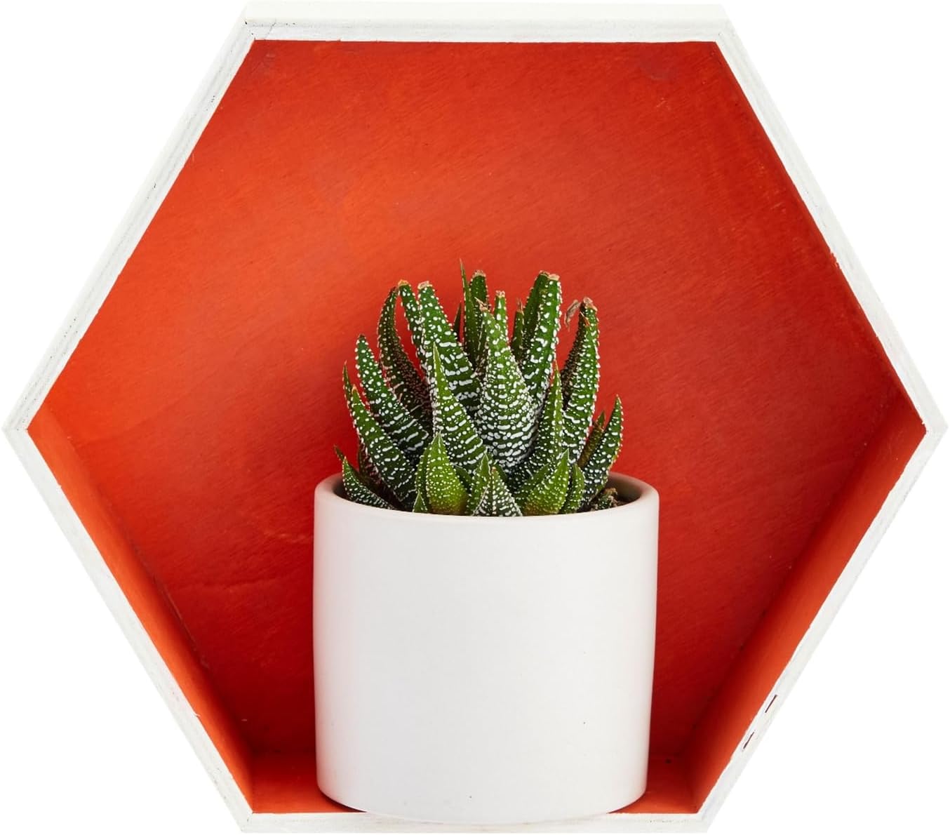Bright Creations 9 Hexagon Floating Wall Shelves Set