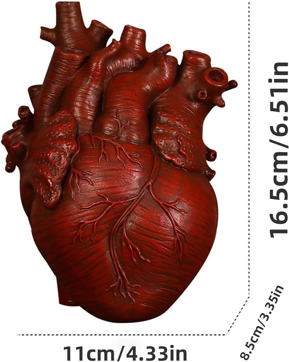 Heart Vase Gothic Anatomical Resin Desktop Decor