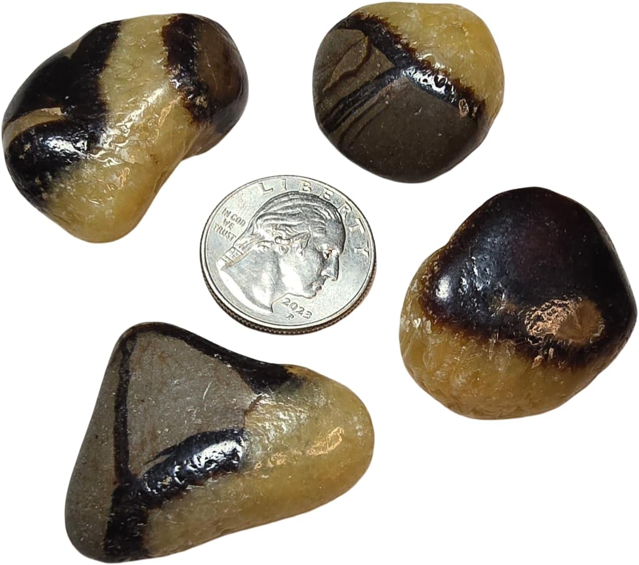 2pc Septarian Dragonstone Tumbled Healing Crystals from Madagascar UV Reactive
