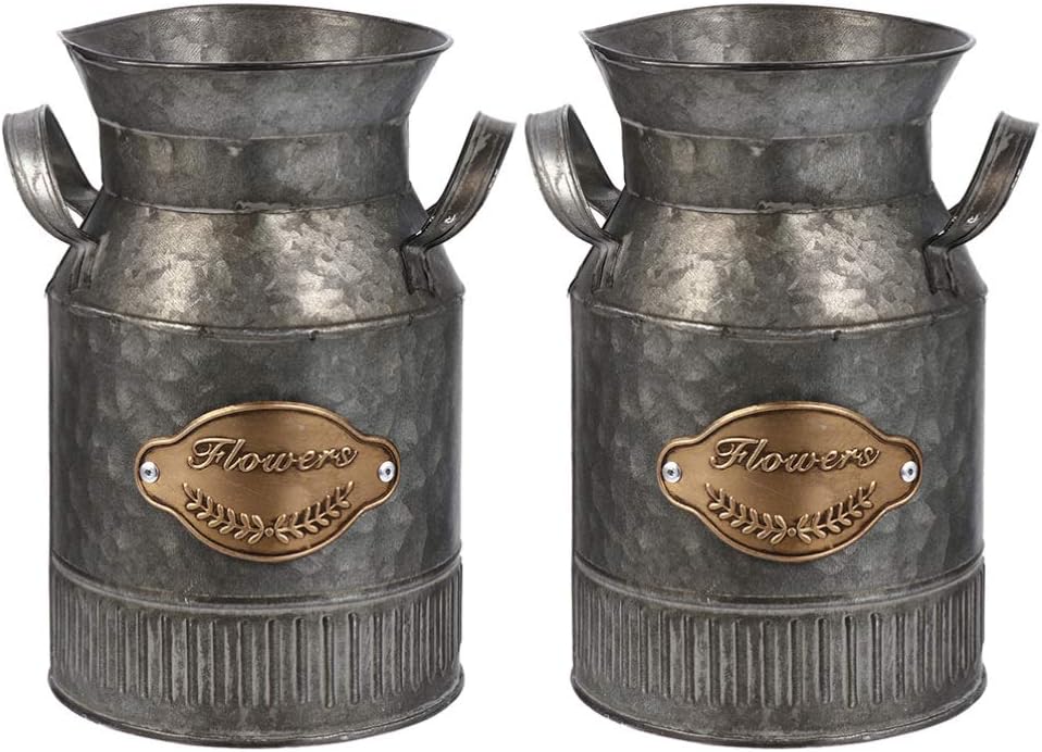 Milisten 2pcs Decorative Vintage Iron Flower Pots for Home and Office Use