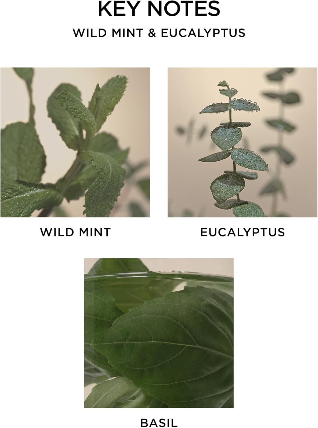 NEST New York Smart Home Diffuser Refills Set of 2 Wild Mint Eucalyptus