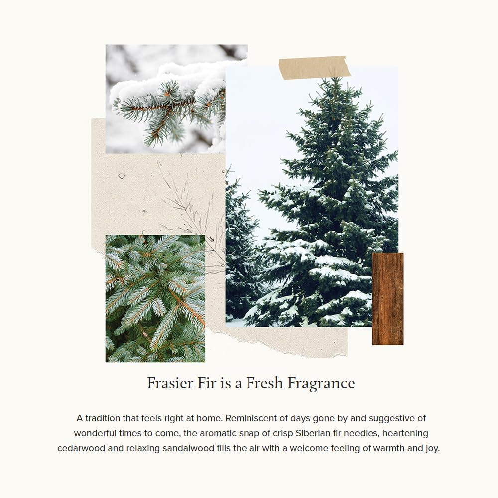 Thymes Frasier Fir Pura Diffuser Refills Pack of 2