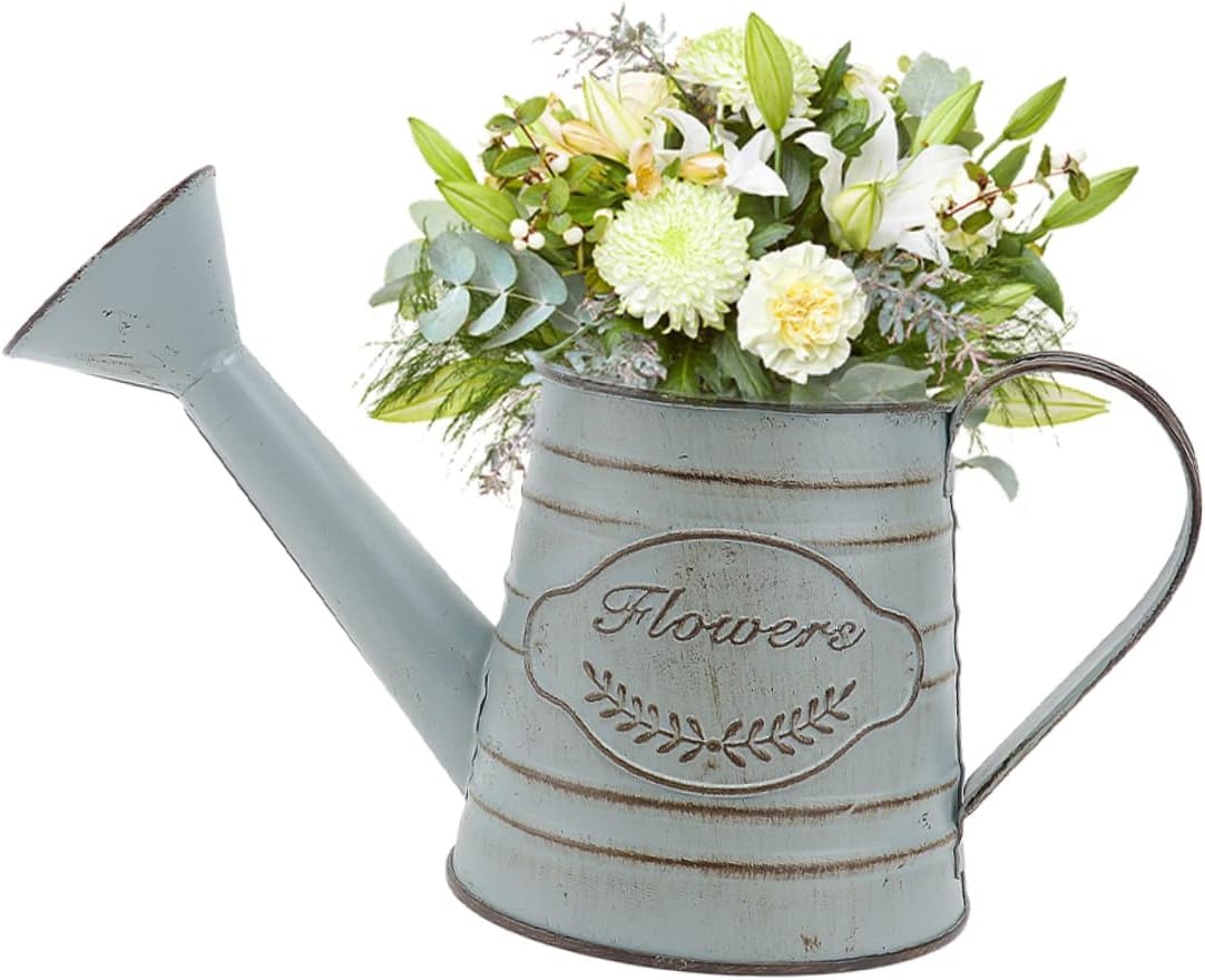 2pcs Vintage Rustic Iron Flower Vases for Dried Decorative Arrangements